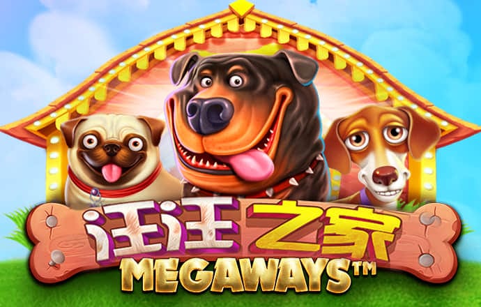 中欧体育kok网页版
